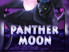Panther Moon icon